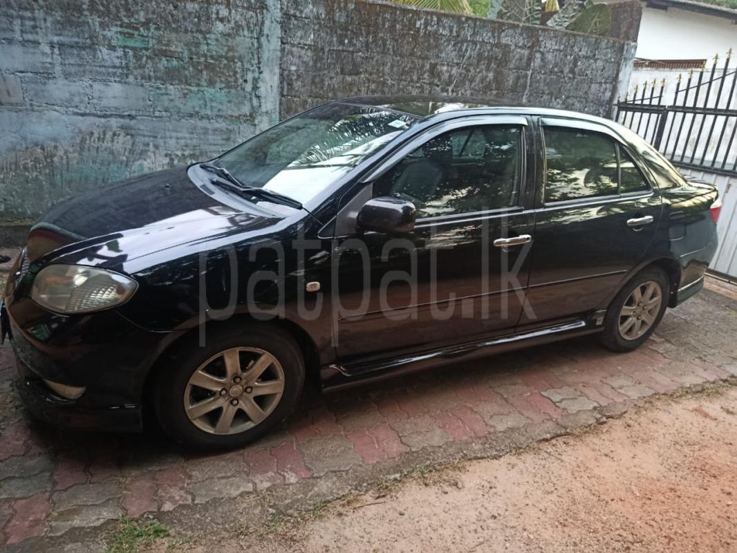 Advertisement image 6