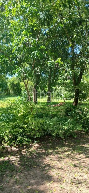 Residential Land for Sale in Kataragama