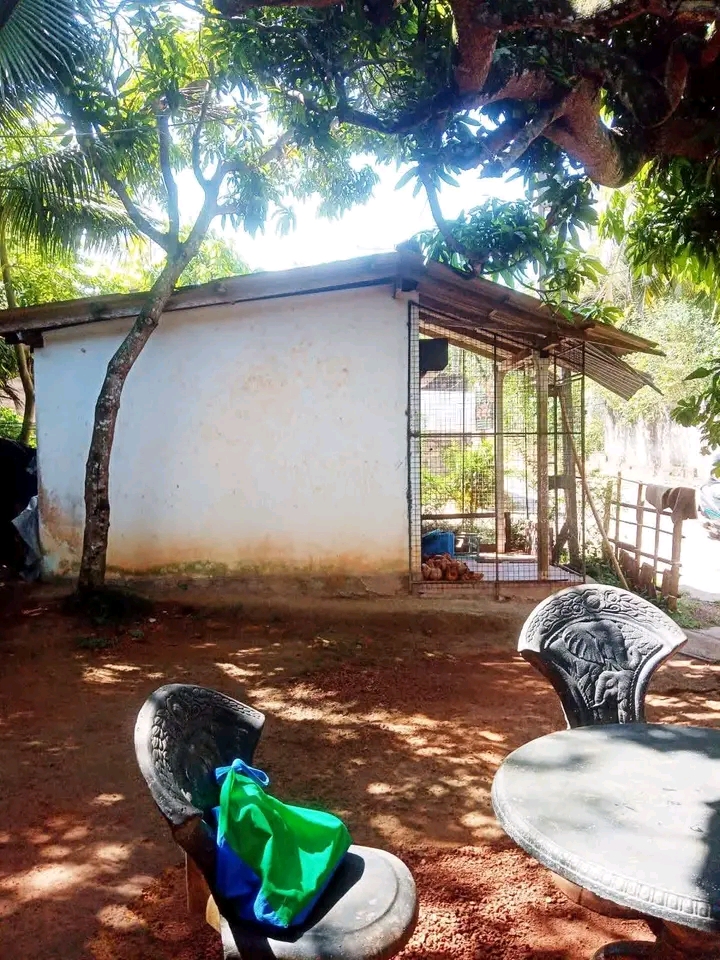 House for Sale in Kalutara ads-image-1