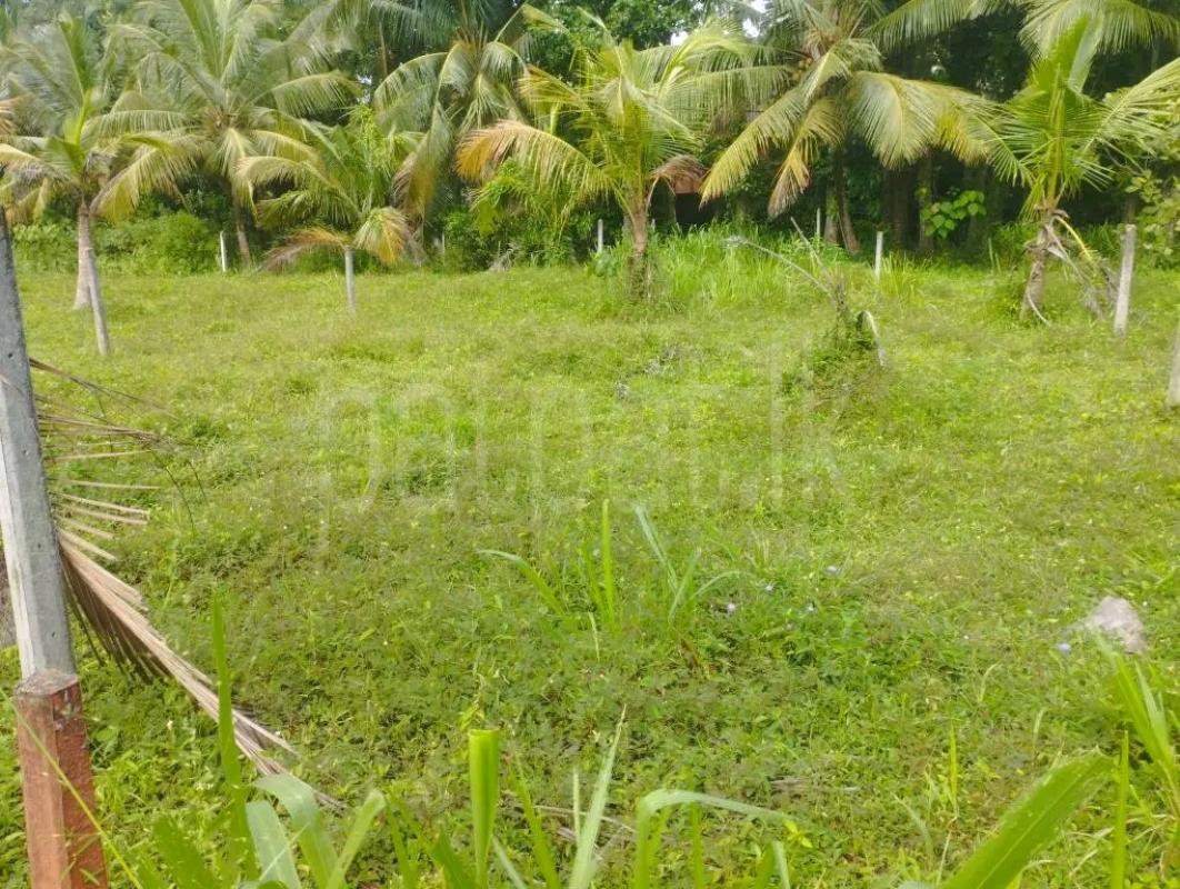 Agricultural Land for Sale in Maho