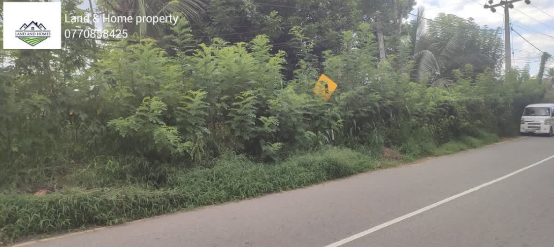 Commercial Land for Sale in Kundasale