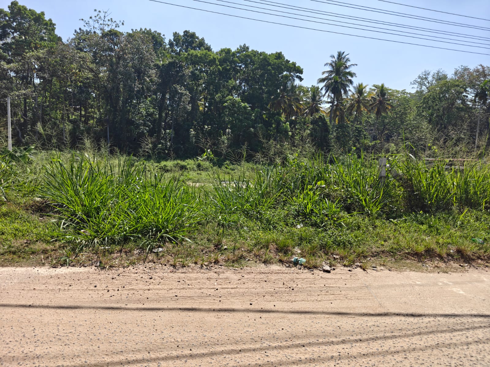 Residential Land for Sale in Mawanella