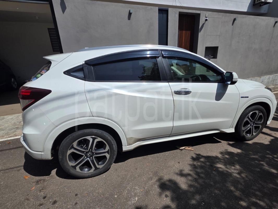 Advertisement image 3