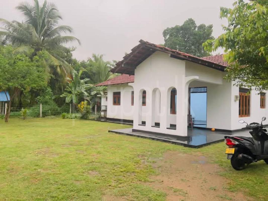 premium-listing-image