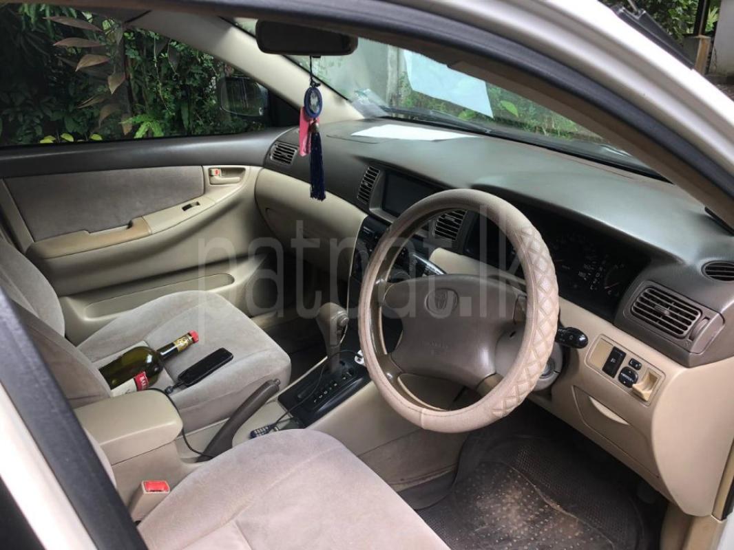 Advertisement image 3