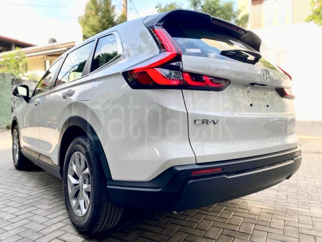 Advertisement image 6