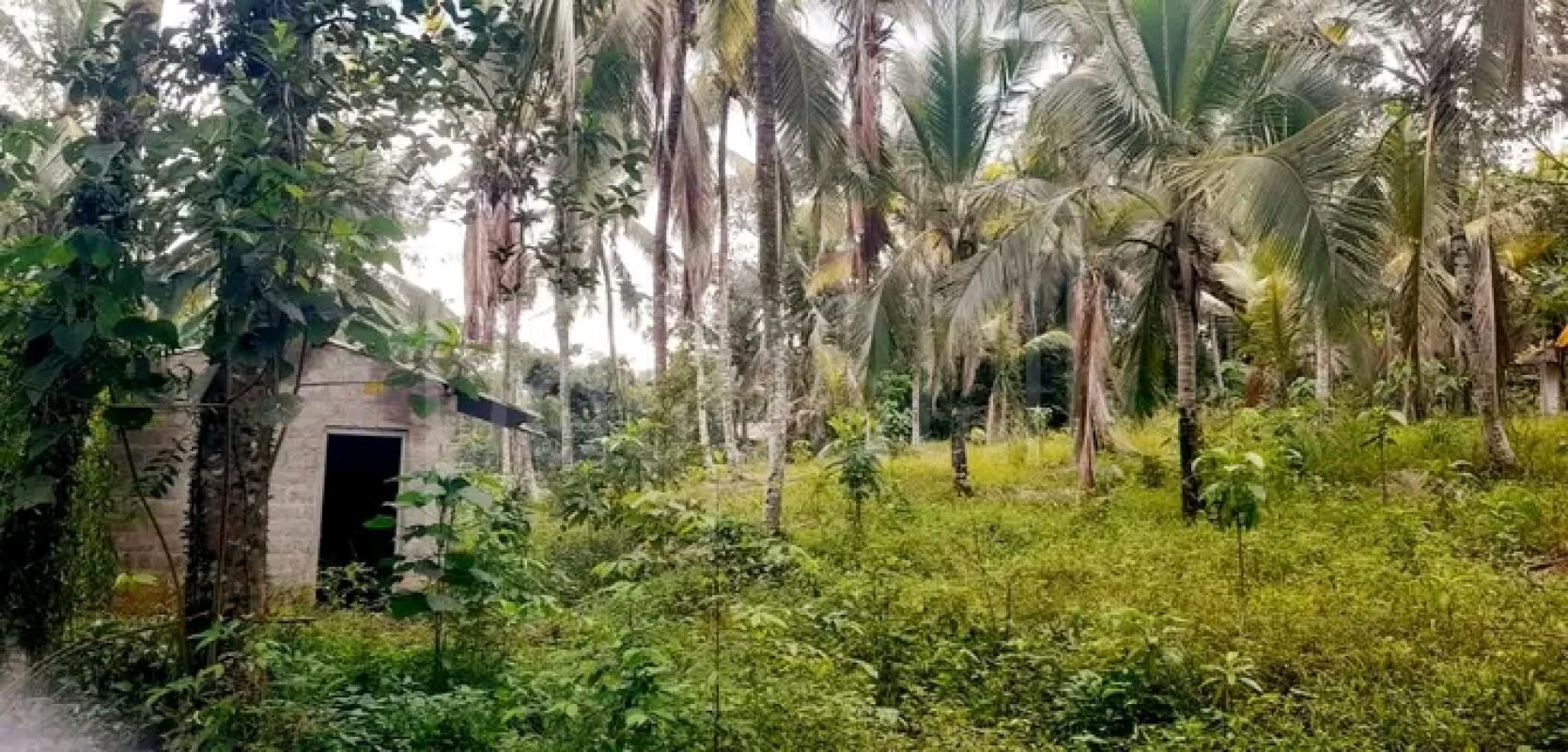 Residential Land for Sale in Dompe