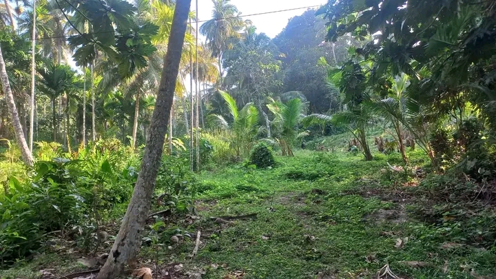 Residential Land for Sale in Tangalla