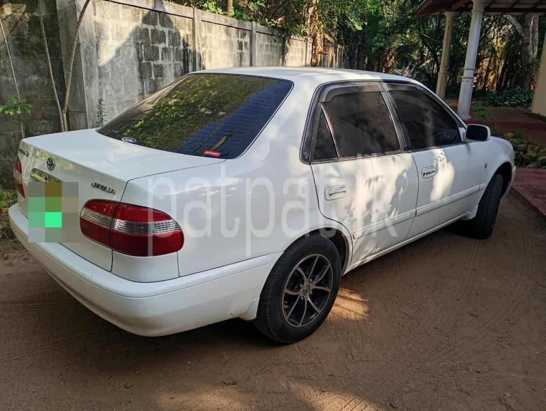 Advertisement image 3