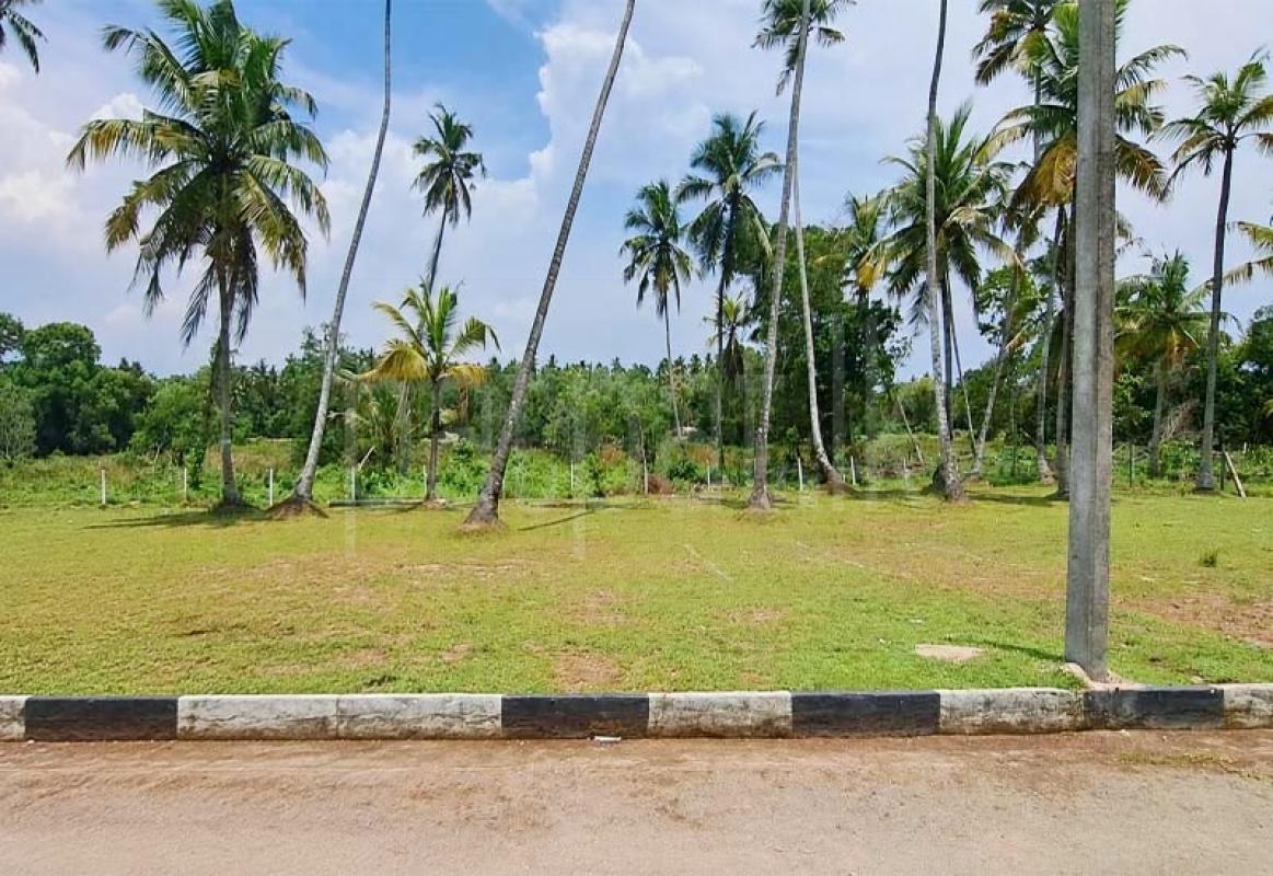 Residential Land for Sale in Katunayake