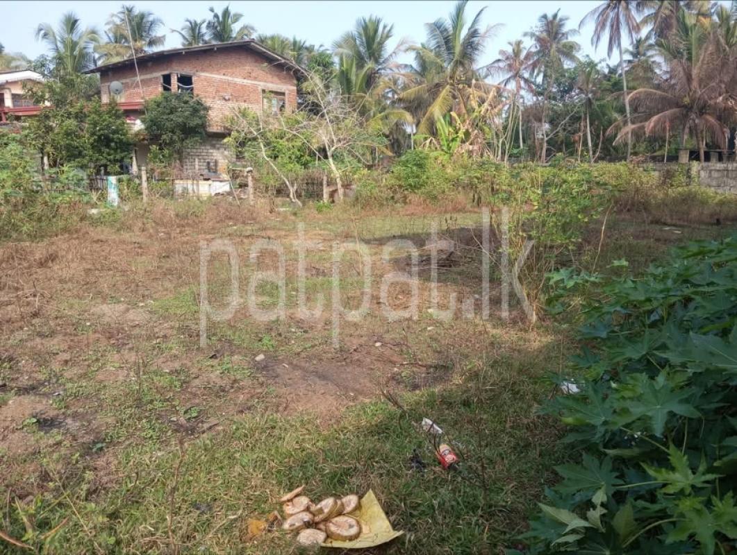 Residential Land for Sale in Wadduwa ads-image-1