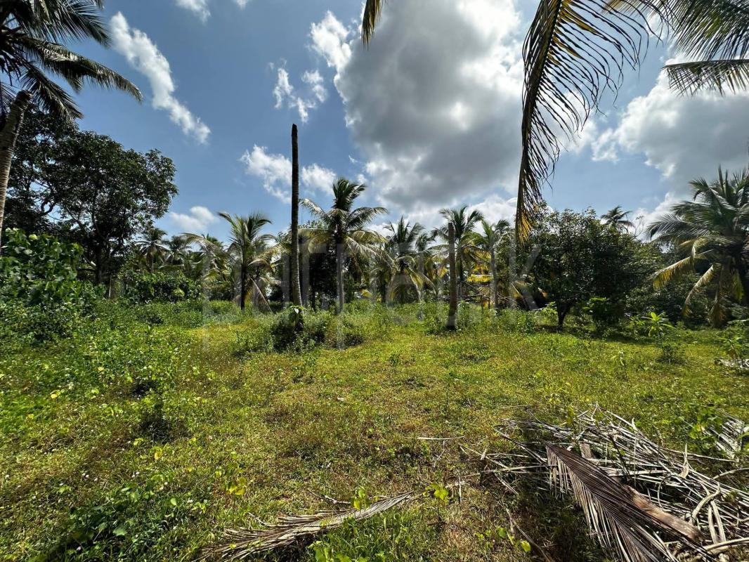Residential Land for Sale in Henegama
