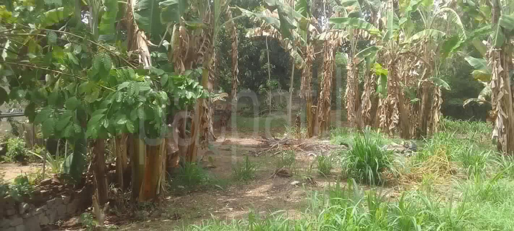 Residential Land for Sale in Kurunegala