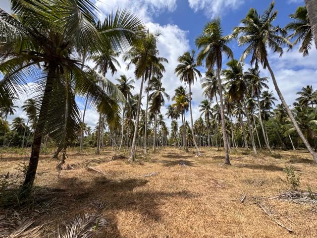 Agricultural Land for Sale in Madampe