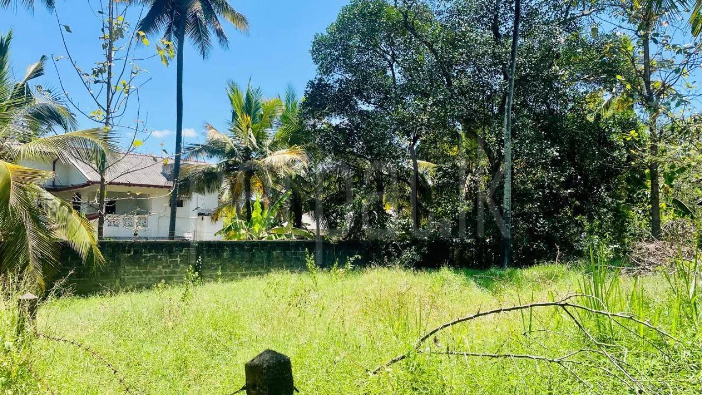 Commercial Land for Sale in Kurunegala ads-image-1