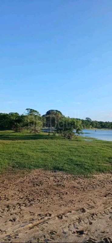 Commercial Land for Sale in Kataragama ads-image-1