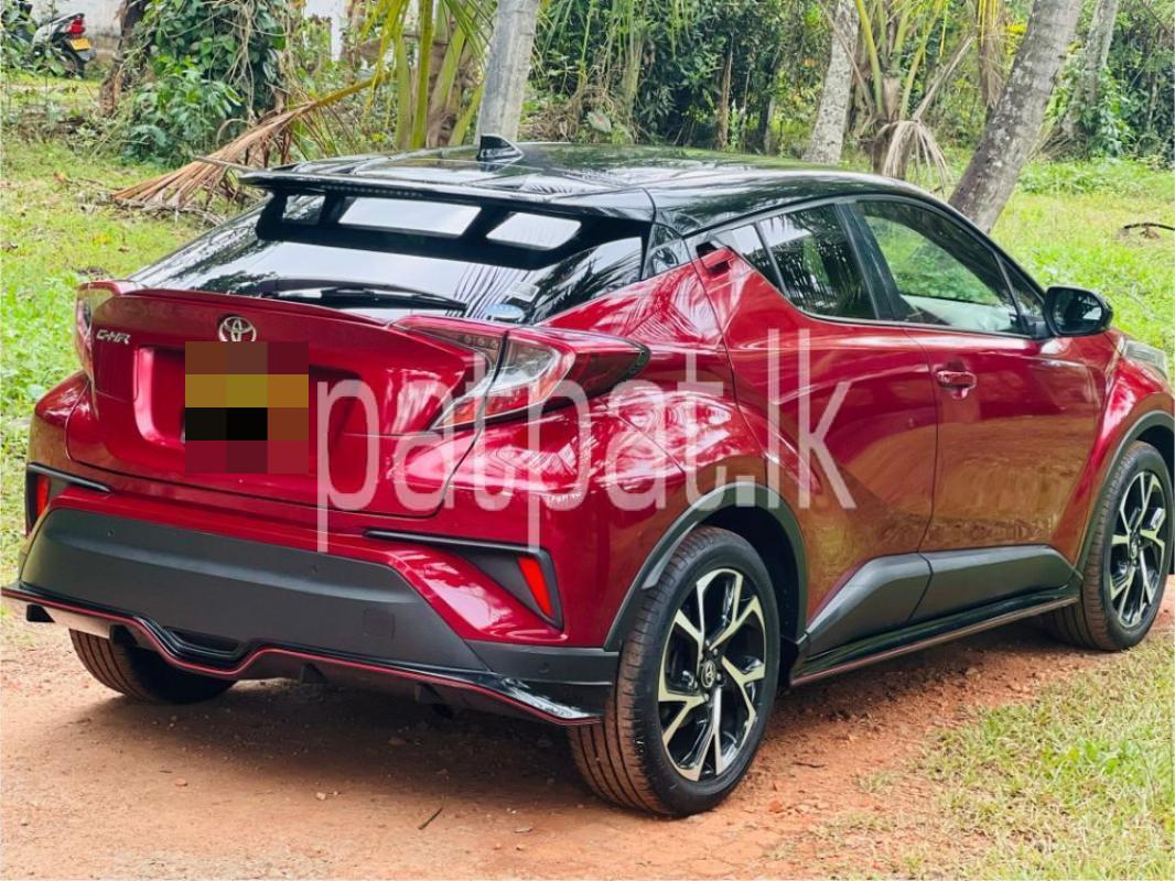 Advertisement image 6