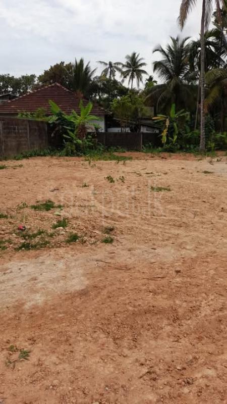 premium-listing-image