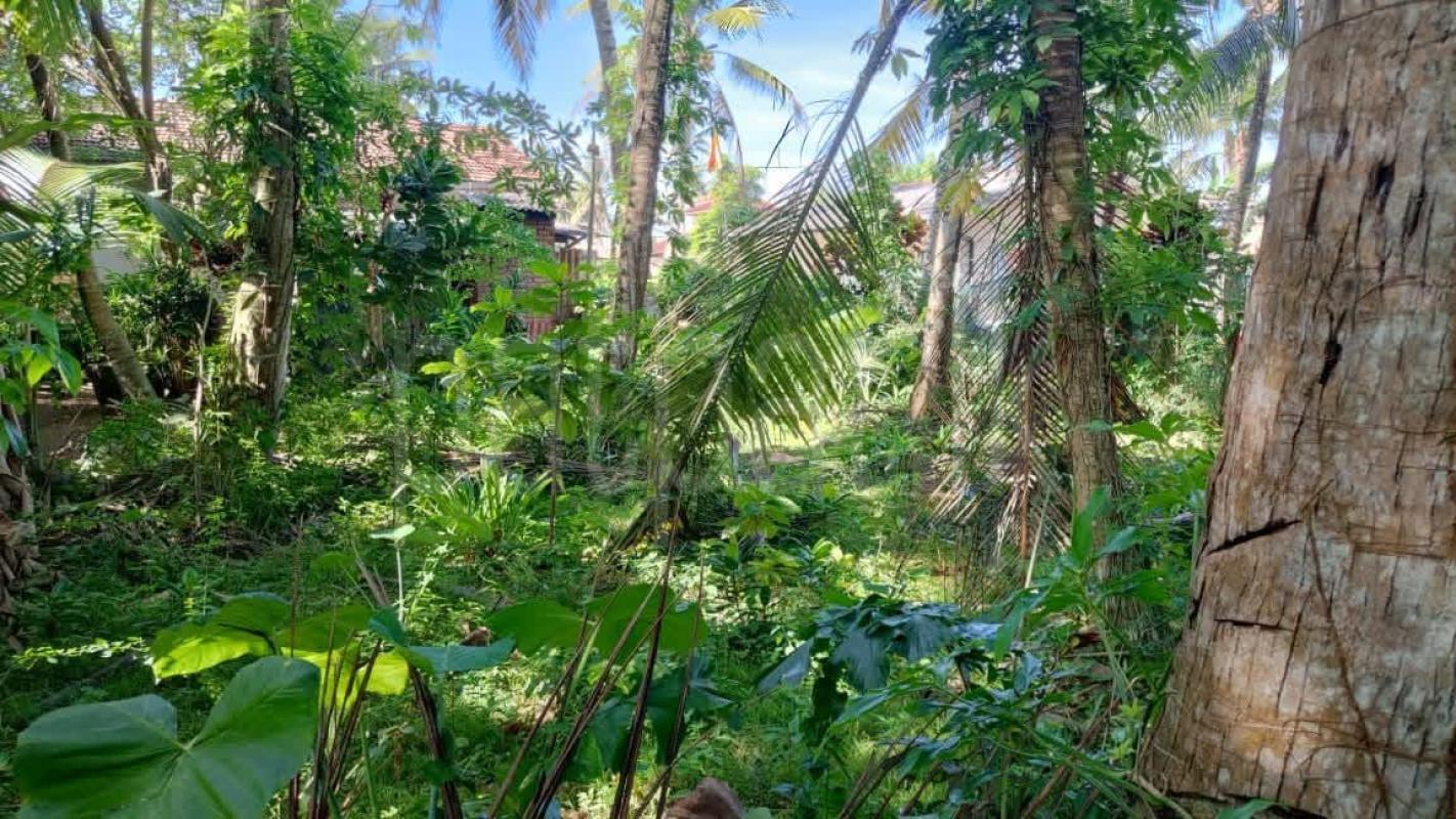Residential Land for Sale in Galle