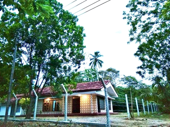 Commercial Land for Sale in Tangalla