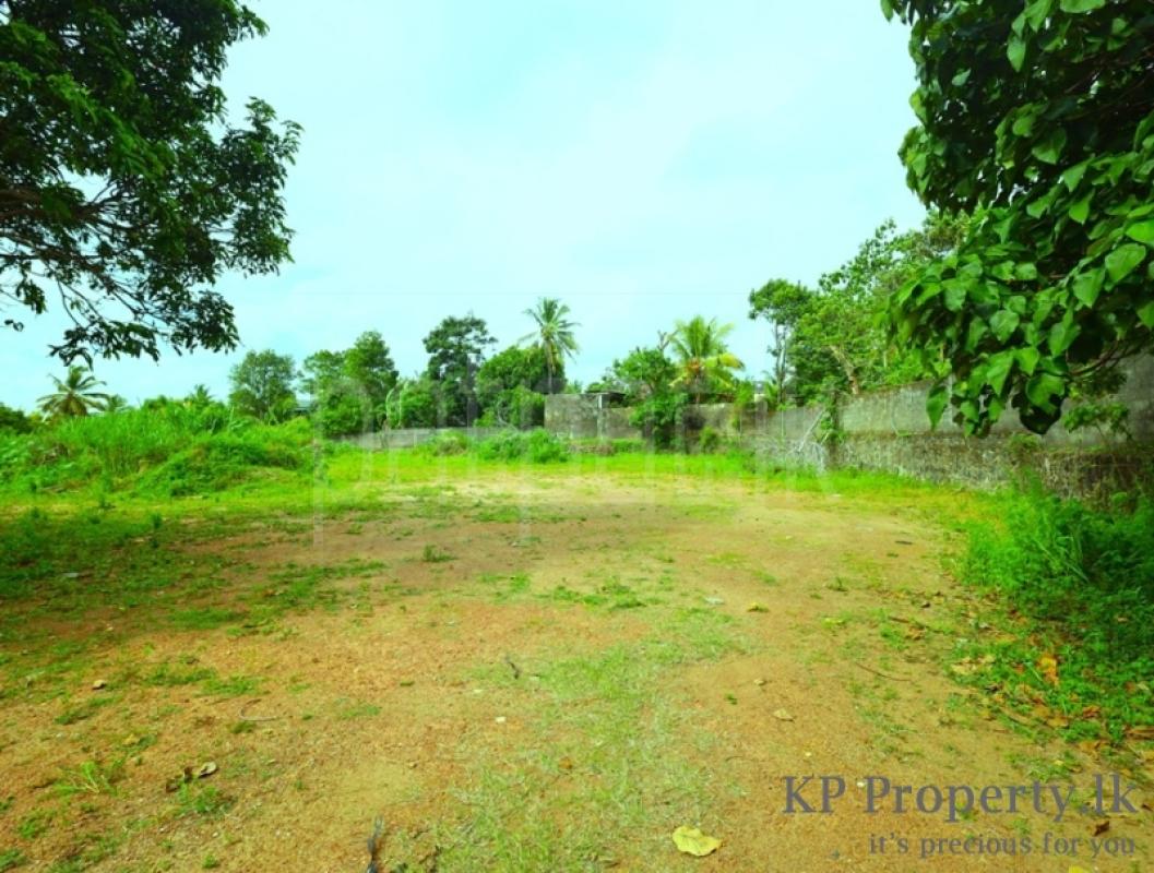 Commercial Land for Sale in Piliyandala ads-image-1