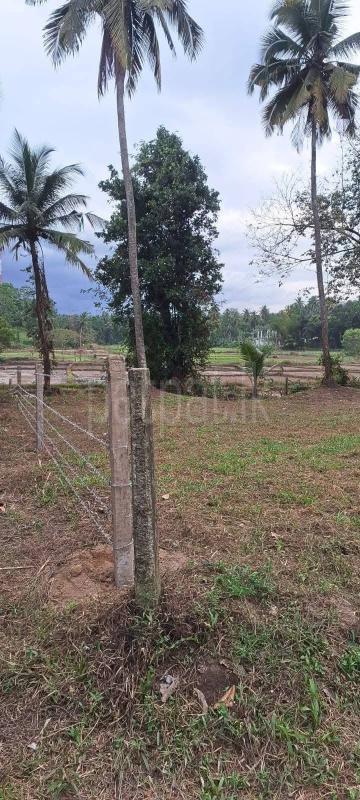 Residential Land for Sale in Sapugaskanda ads-image-1