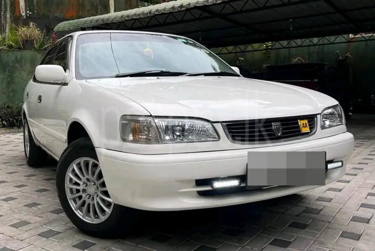 Advertisement image 2