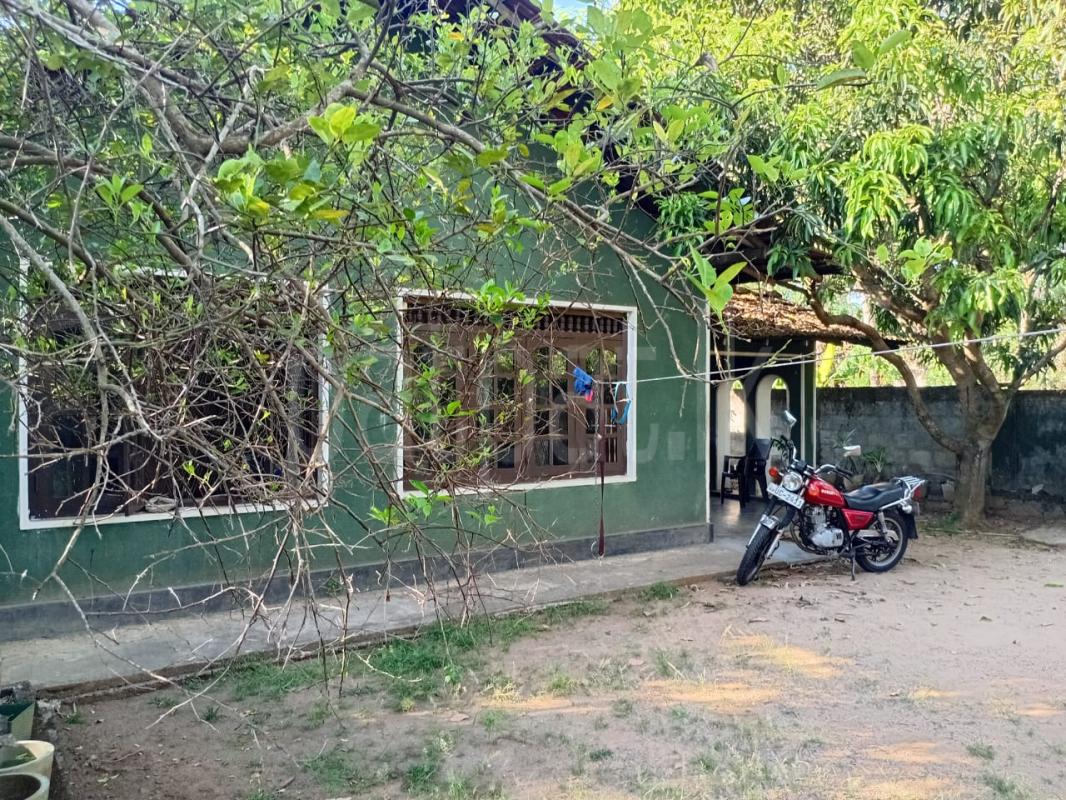 House for Sale in Maspotha