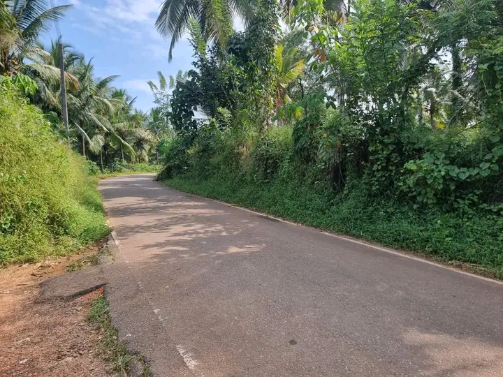 Commercial Land for Sale in Nittambuwa