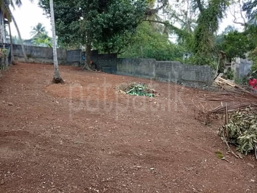 Agricultural Land for Sale in Kadawatha