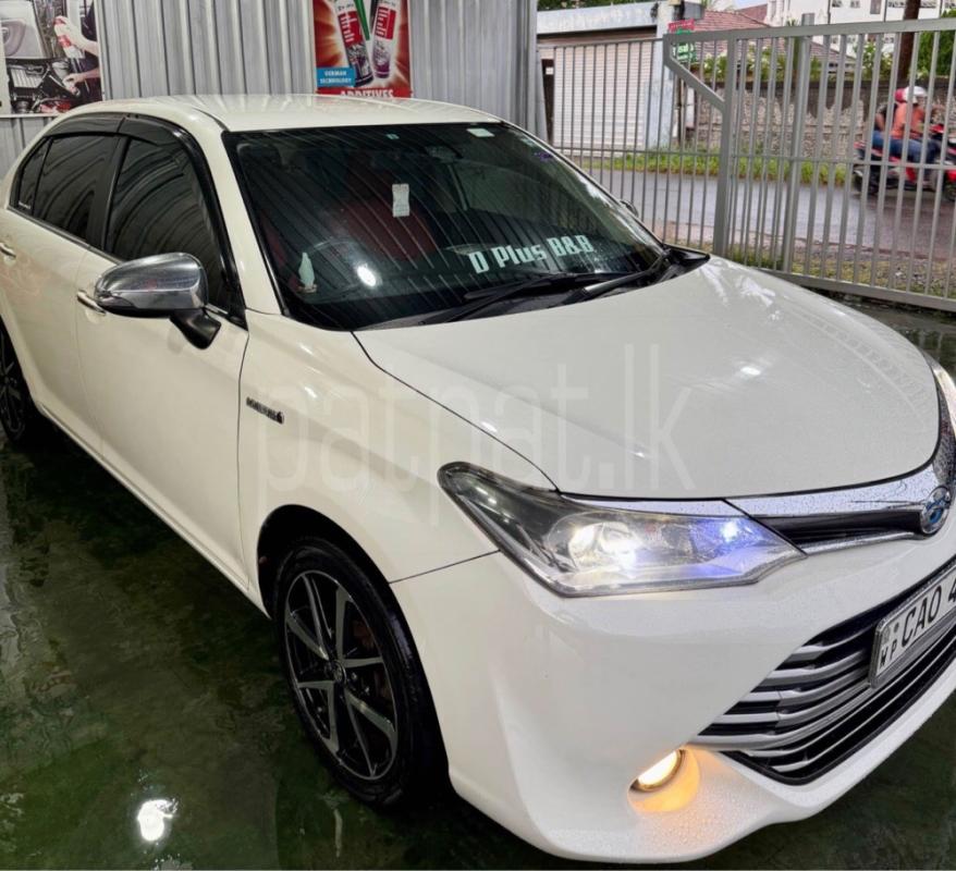 Advertisement image 5