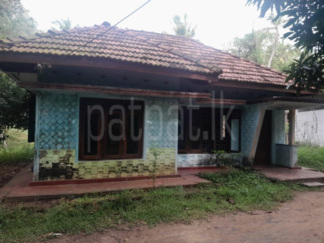 House for Sale in Giriulla ads-image-1