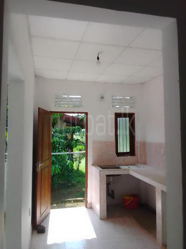 Advertisement image 12