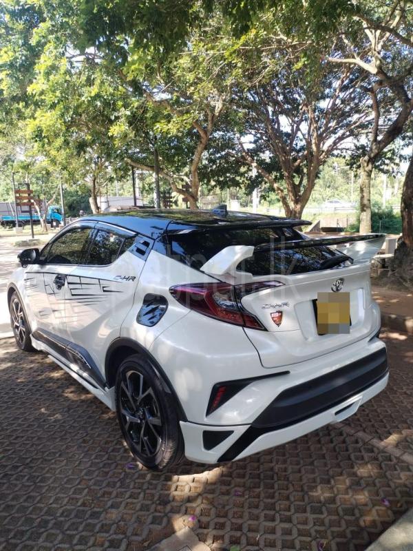 Advertisement image 6