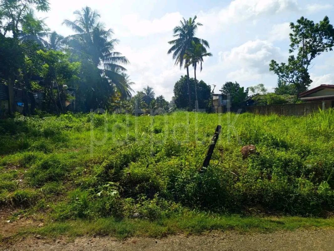 Residential Land for Sale in Ja-Ela