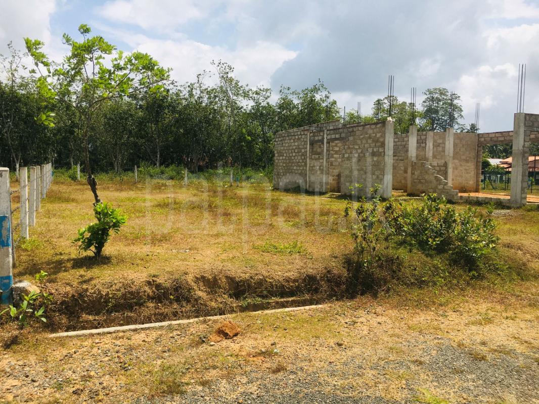 Residential Land for Sale in Pokunuwita