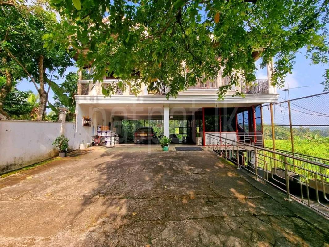 Advertisement image 6