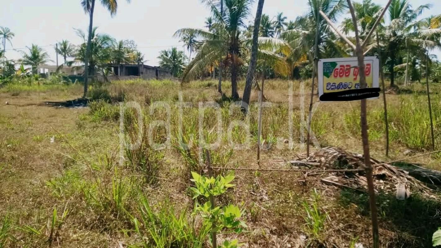Commercial Land for Sale in Ja-Ela