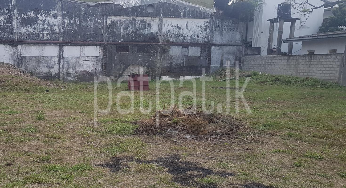 Advertisement image 1