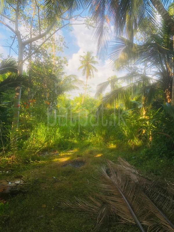 Commercial Land for Sale in Unawatuna