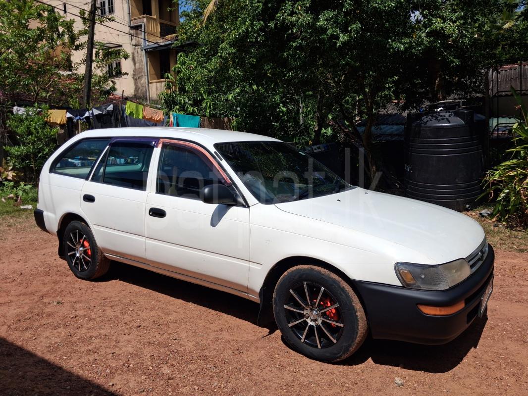 Advertisement image 1