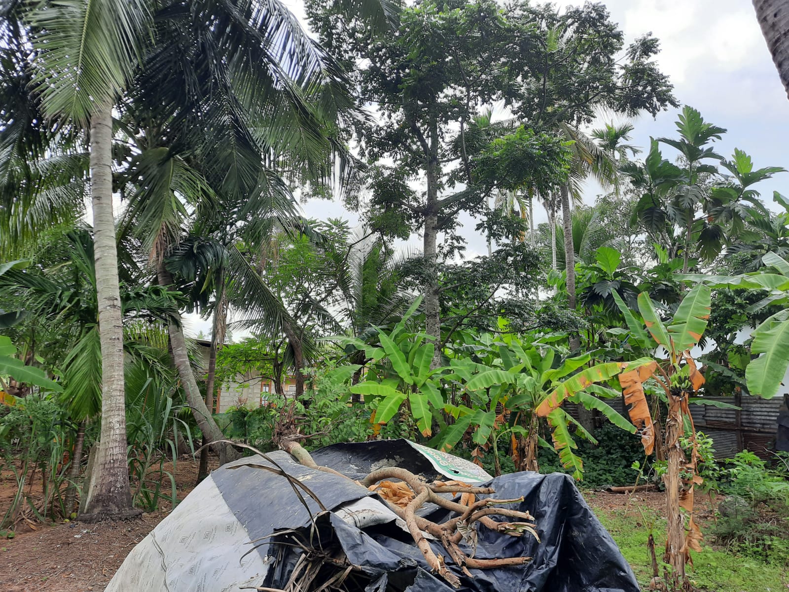 Residential Land for Sale in Mawathagama ads-image-1