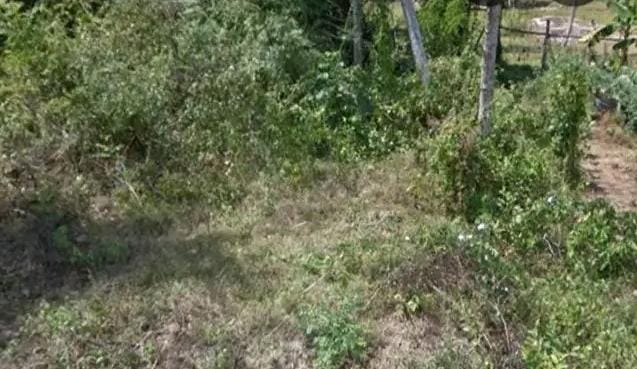 Commercial Land for Sale in Katupota ads-image-1