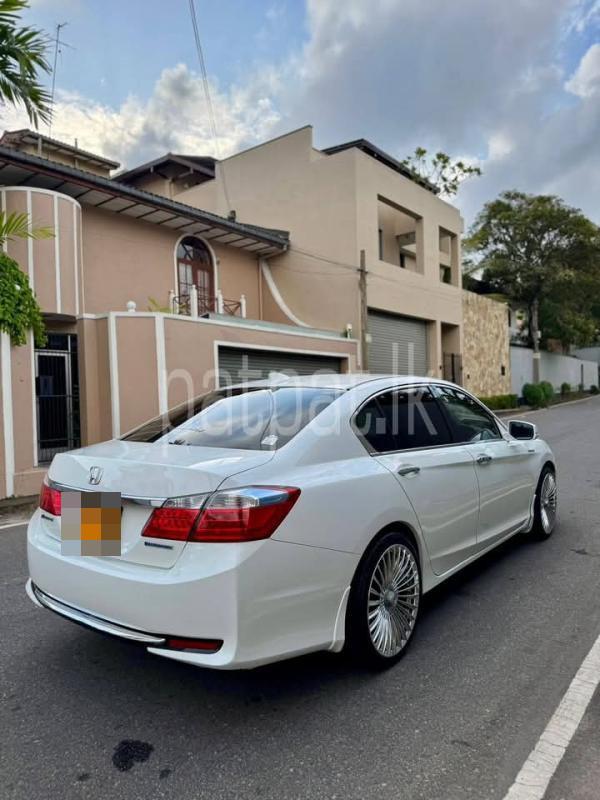 Advertisement image 2