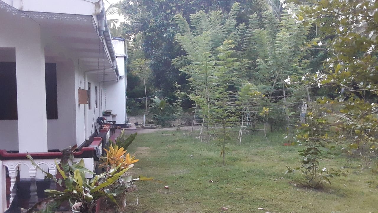 House for Sale in Wennappuwa ads-image-1
