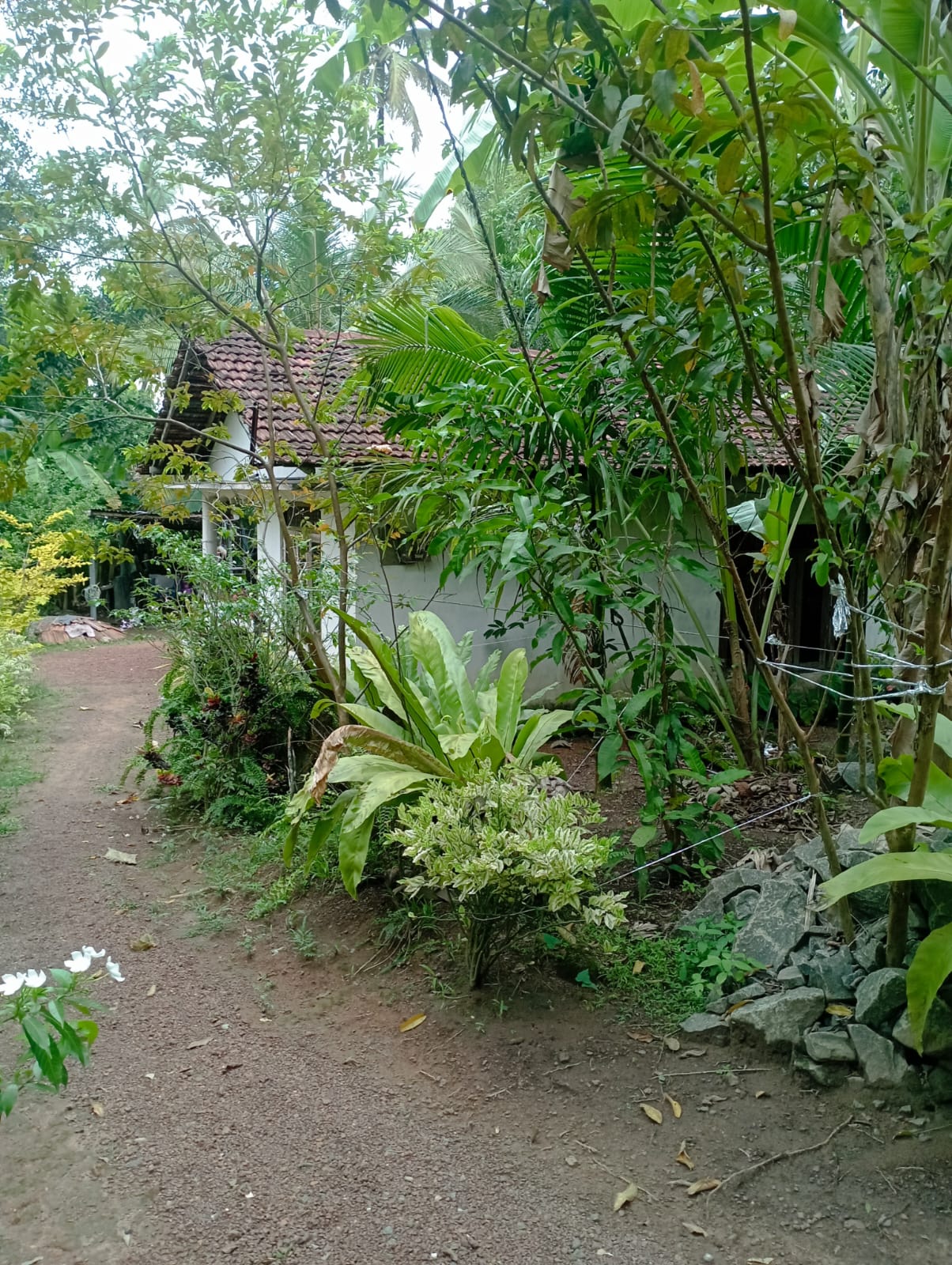 House for Sale in Ja-Ela