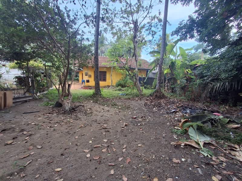 Agricultural Land for Sale in Panadura ads-image-1