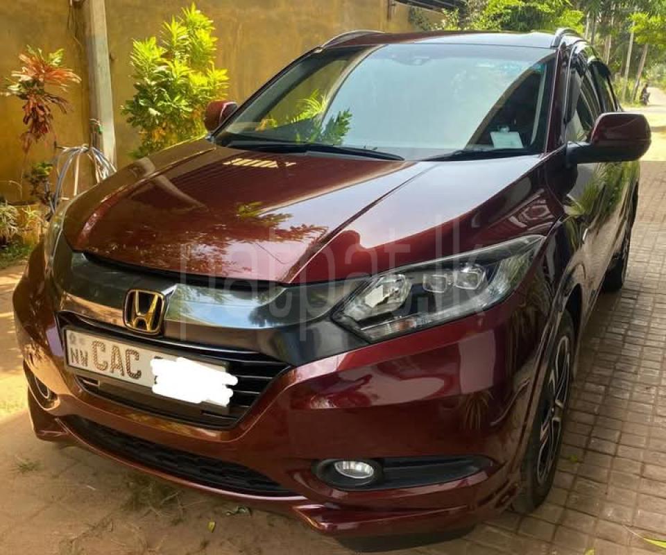 Advertisement image 3