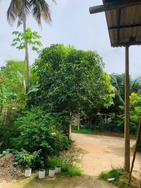 House for Sale in Pallewela