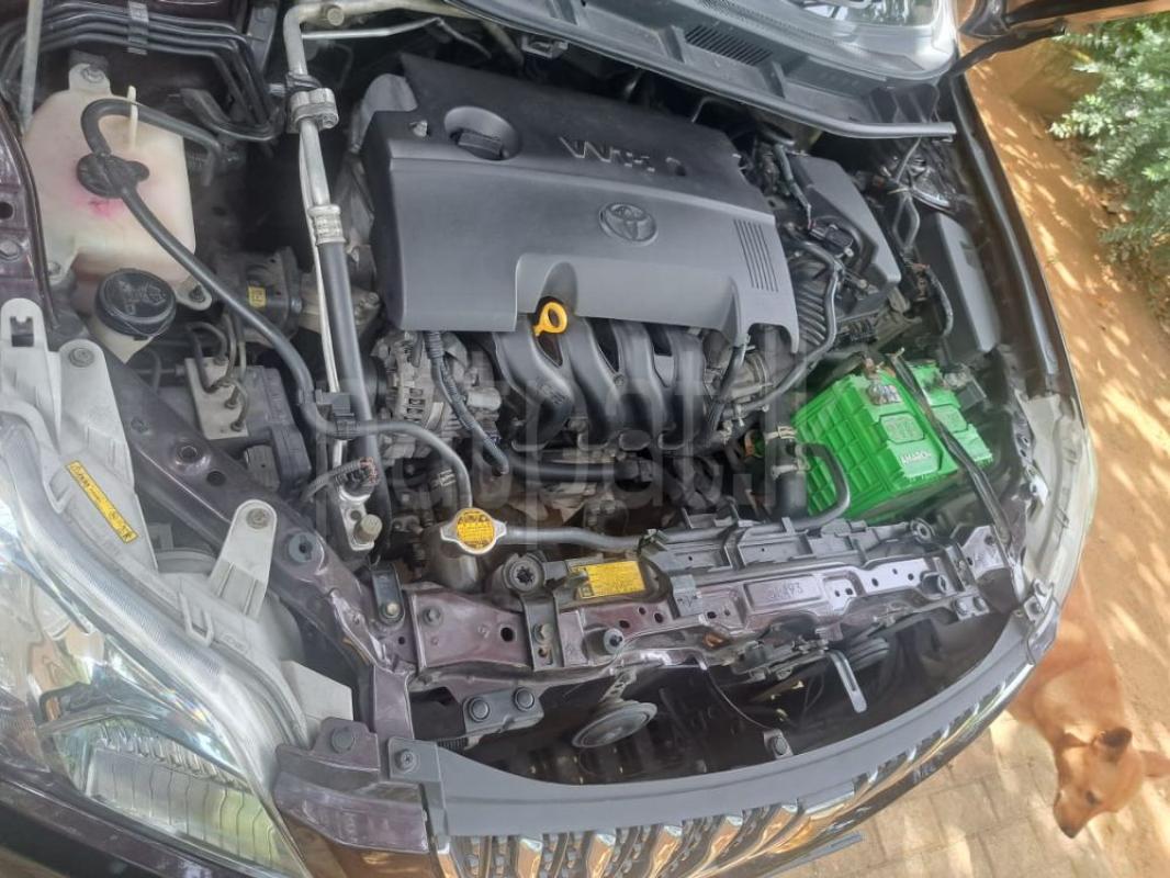 Advertisement image 3